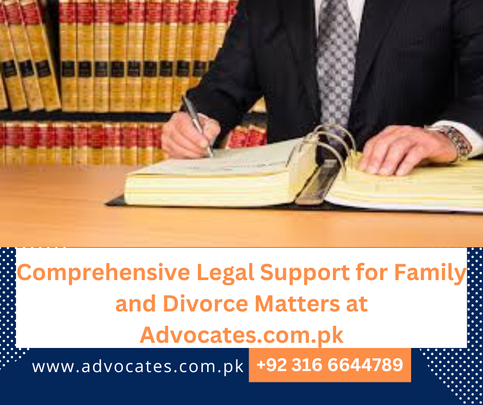 Family Lawyer